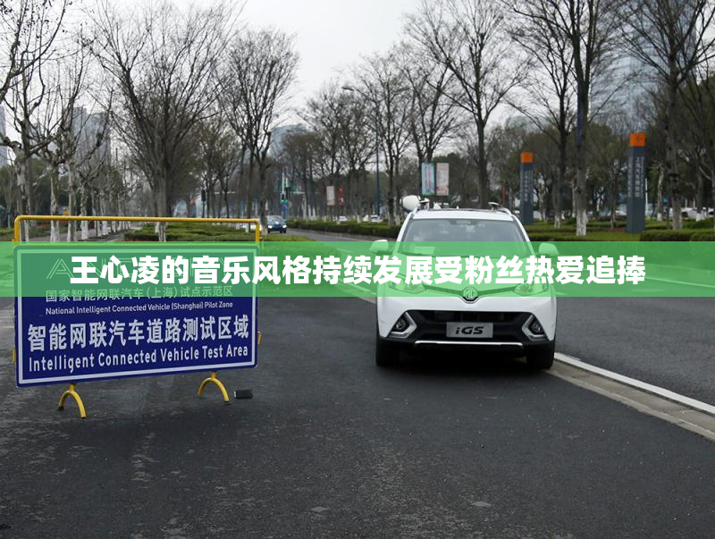 王心凌的音乐风格持续发展受粉丝热爱追捧
