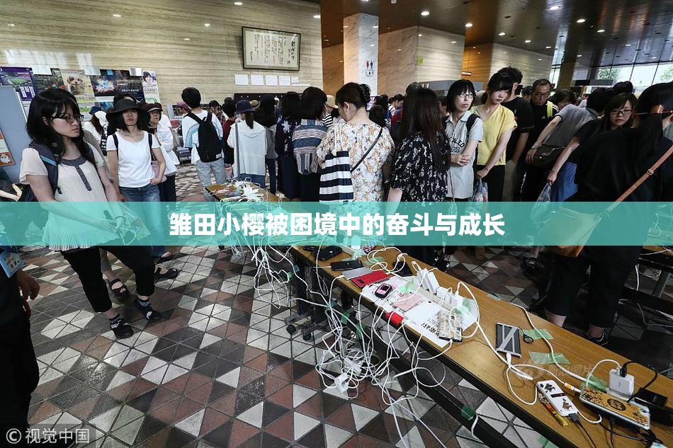 雏田小樱被困境中的奋斗与成长