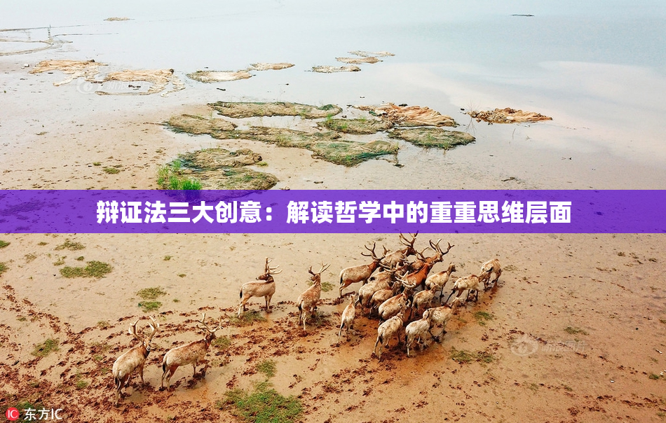 辩证法三大创意：解读哲学中的重重思维层面
