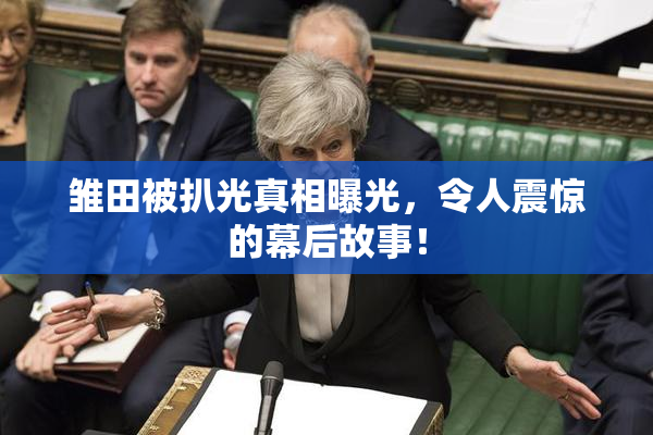 雏田被扒光真相曝光，令人震惊的幕后故事！