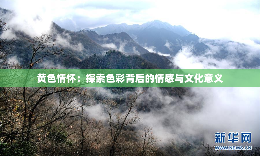黄色情怀：探索色彩背后的情感与文化意义