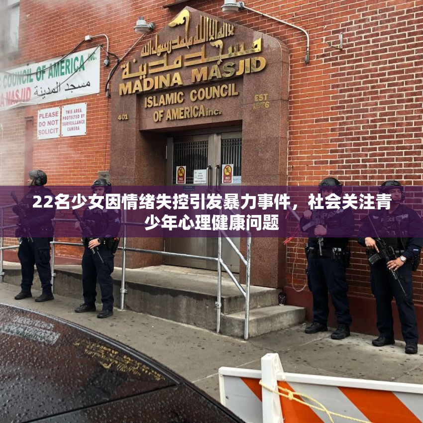 22名少女因情绪失控引发暴力事件，社会关注青少年心理健康问题