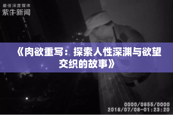 《肉欲重写：探索人性深渊与欲望交织的故事》