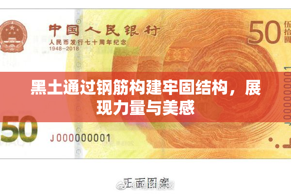 黑土通过钢筋构建牢固结构，展现力量与美感