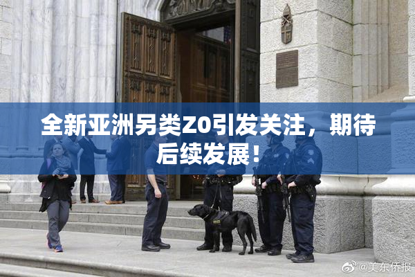 全新亚洲另类Z0引发关注，期待后续发展！
