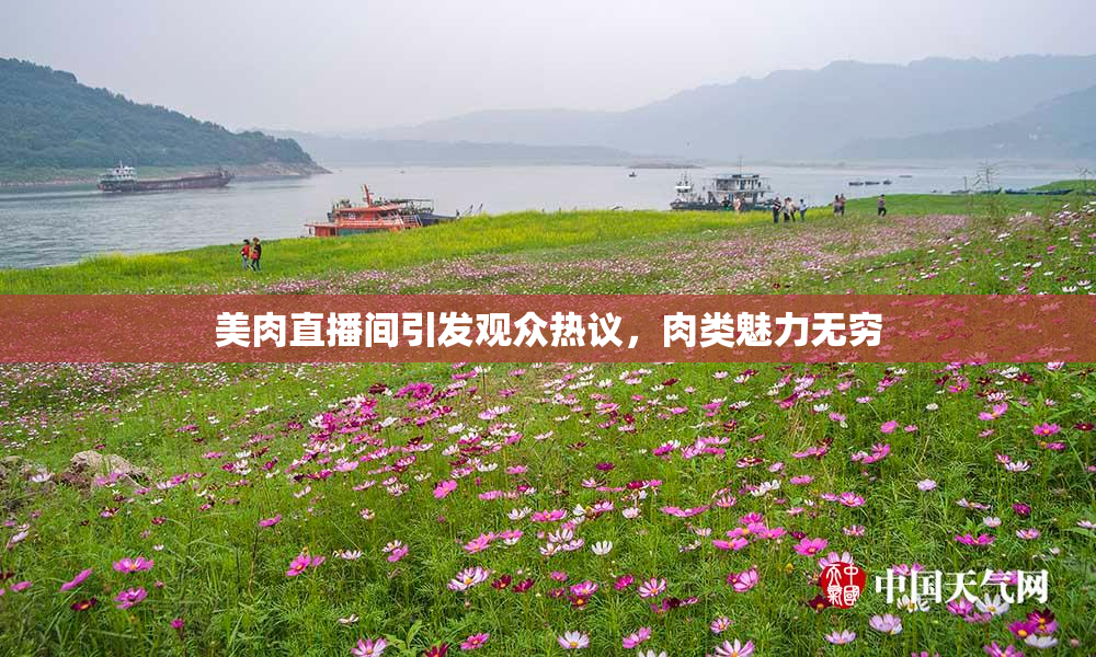 美肉直播间引发观众热议，肉类魅力无穷