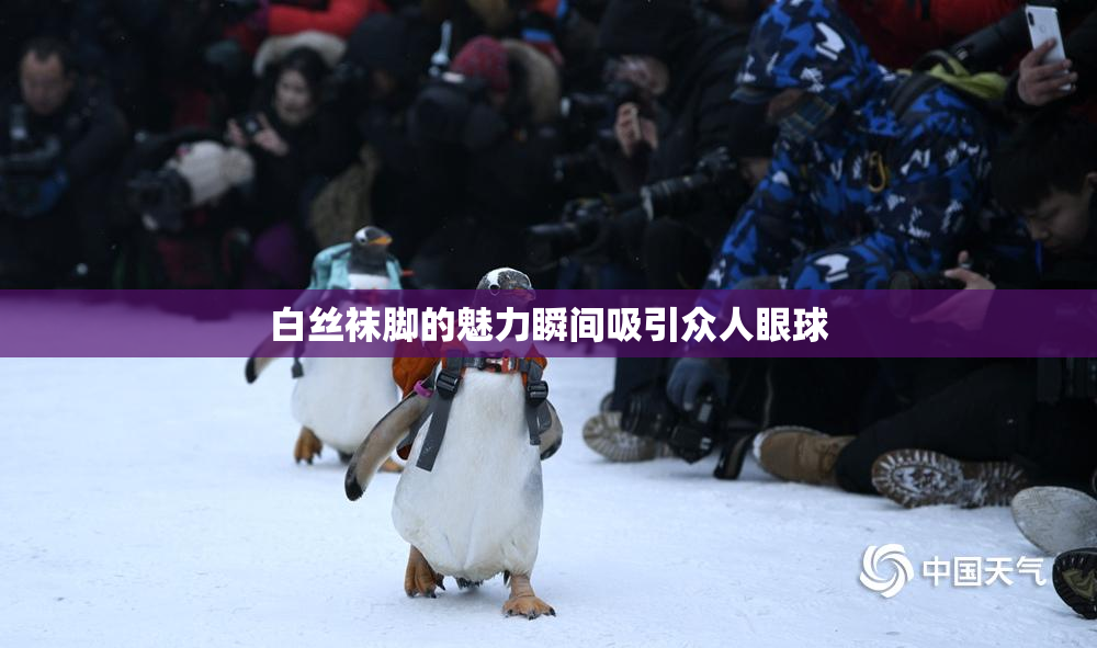 白丝袜脚的魅力瞬间吸引众人眼球