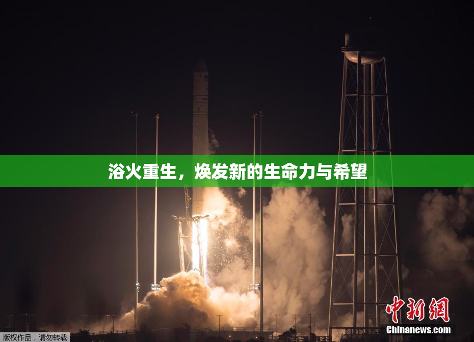 浴火重生，焕发新的生命力与希望