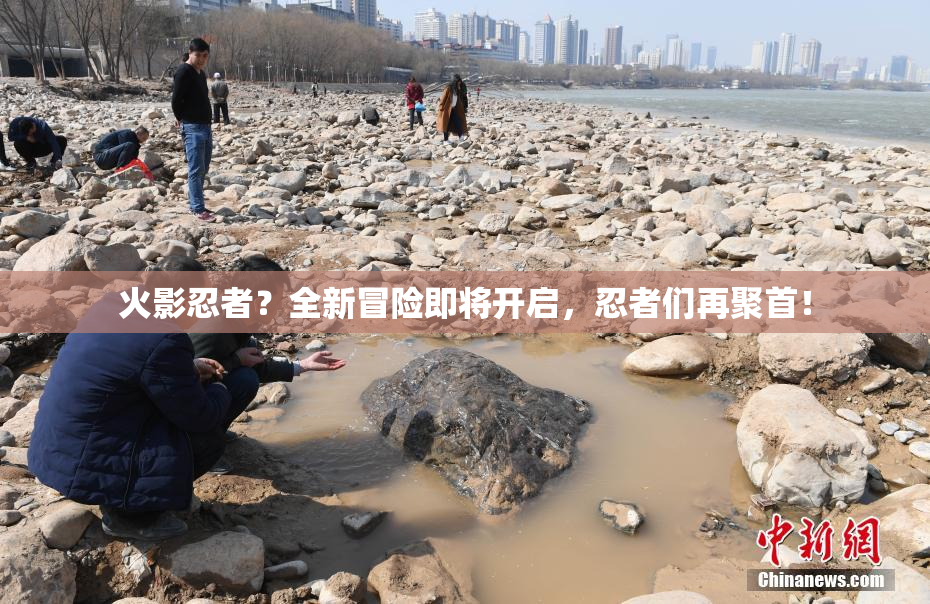 火影忍者？全新冒险即将开启，忍者们再聚首！
