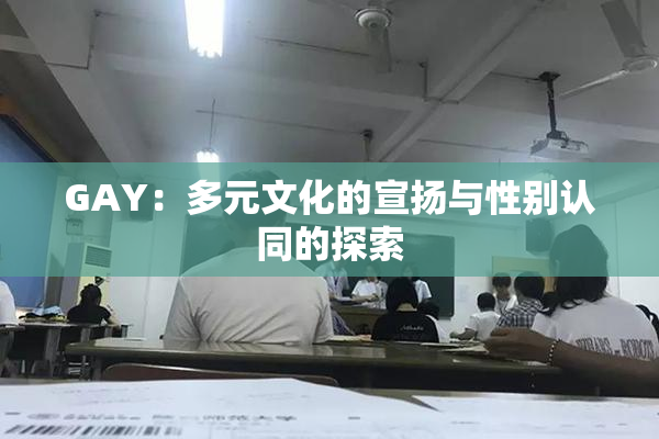 GAY：多元文化的宣扬与性别认同的探索