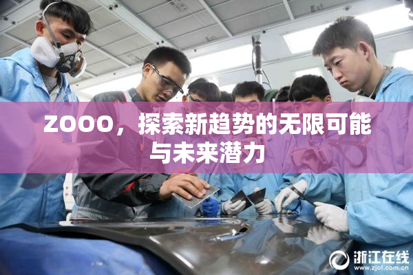 ZOOO，探索新趋势的无限可能与未来潜力