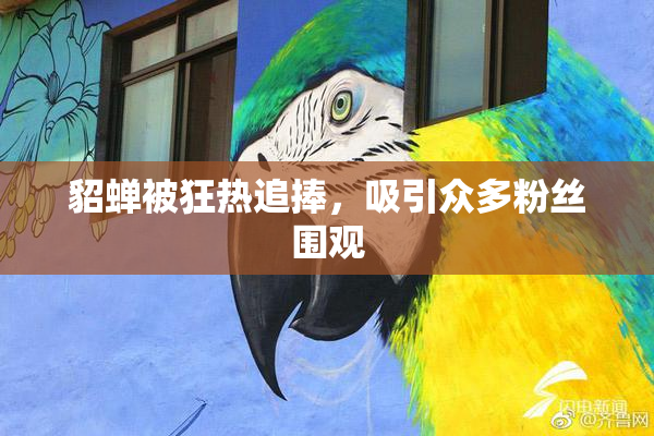 貂蝉被狂热追捧，吸引众多粉丝围观