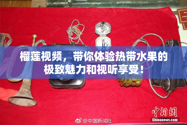 榴莲视频，带你体验热带水果的极致魅力和视听享受！
