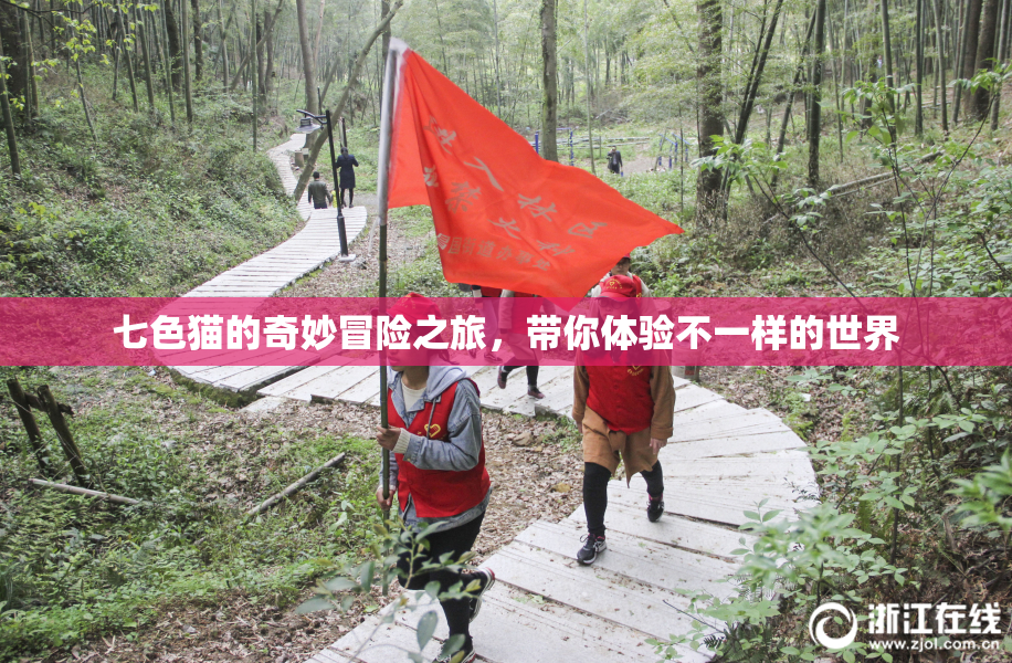 七色猫的奇妙冒险之旅，带你体验不一样的世界