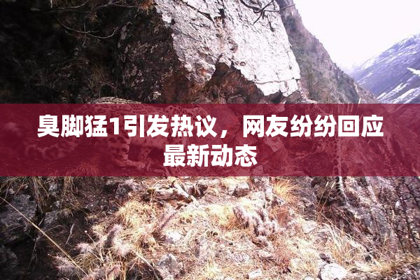 臭脚猛1引发热议，网友纷纷回应最新动态