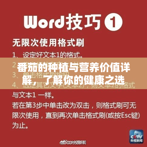 番茄的种植与营养价值详解，了解你的健康之选