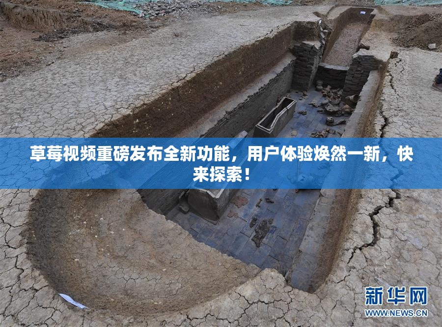 草莓视频重磅发布全新功能，用户体验焕然一新，快来探索！
