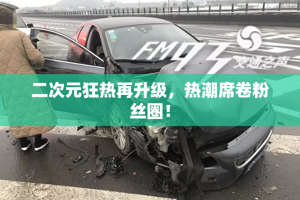 二次元狂热再升级，热潮席卷粉丝圈！