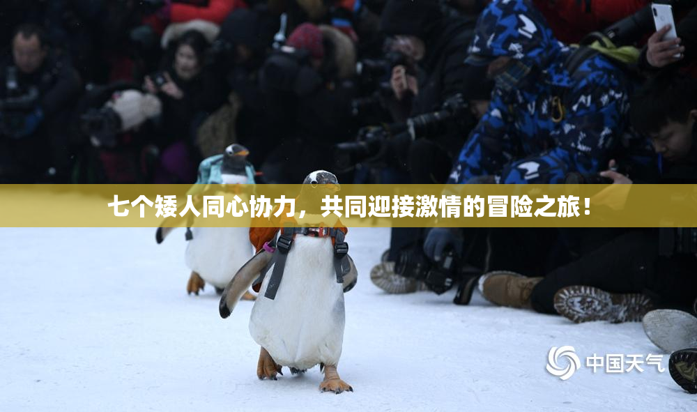 七个矮人同心协力，共同迎接激情的冒险之旅！
