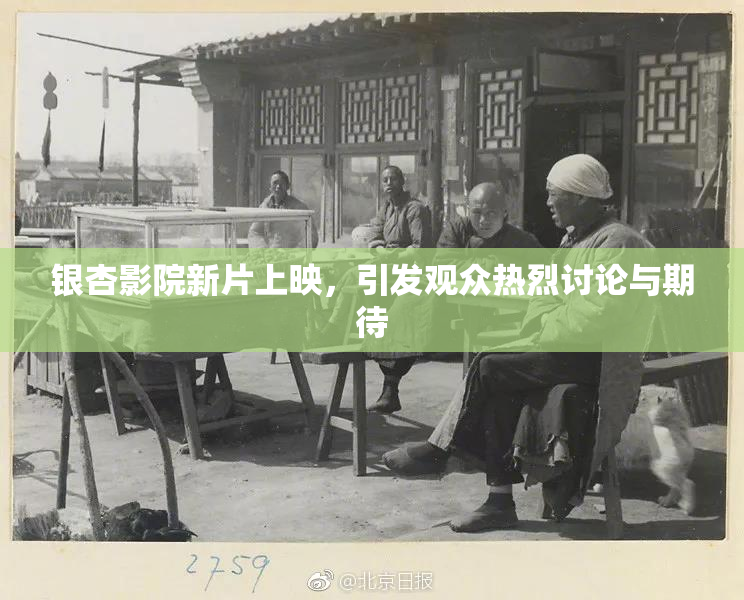 银杏影院新片上映，引发观众热烈讨论与期待