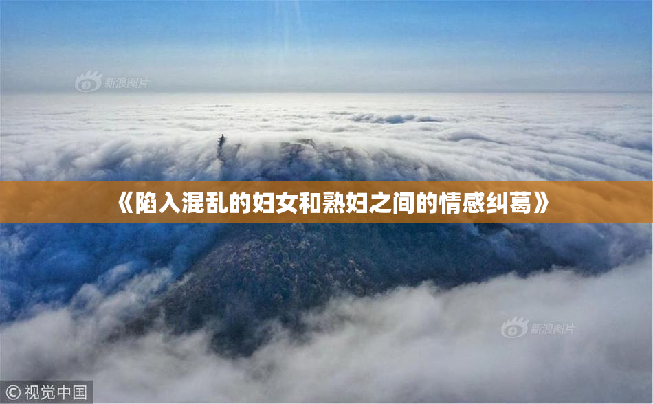 《陷入混乱的妇女和熟妇之间的情感纠葛》