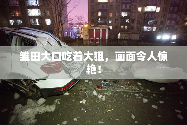 雏田大口吃着大狙，画面令人惊艳！