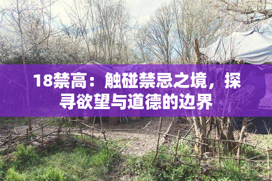 18禁高：触碰禁忌之境，探寻欲望与道德的边界