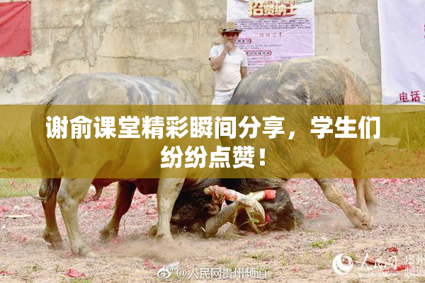谢俞课堂精彩瞬间分享，学生们纷纷点赞！
