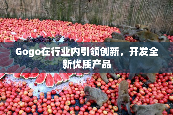 Gogo在行业内引领创新，开发全新优质产品