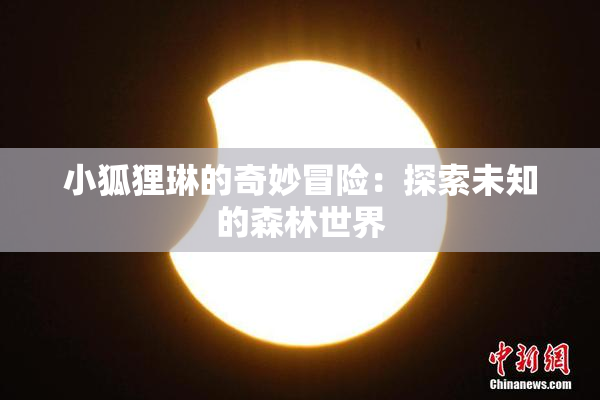 小狐狸琳的奇妙冒险：探索未知的森林世界