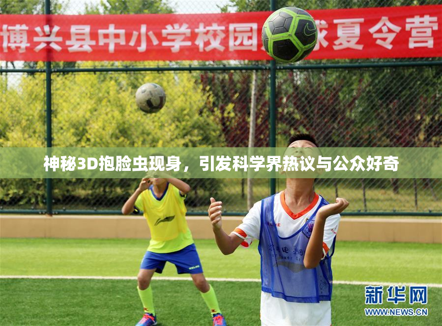 神秘3D抱脸虫现身，引发科学界热议与公众好奇