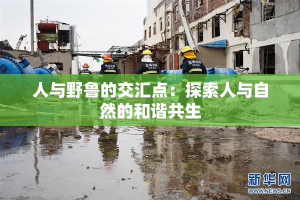 人与野鲁的交汇点：探索人与自然的和谐共生