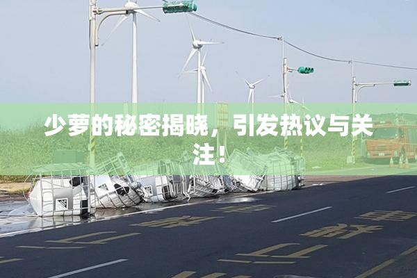 少萝的秘密揭晓，引发热议与关注！