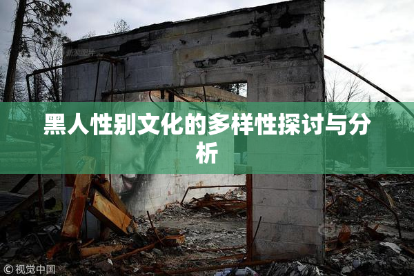 黑人性别文化的多样性探讨与分析
