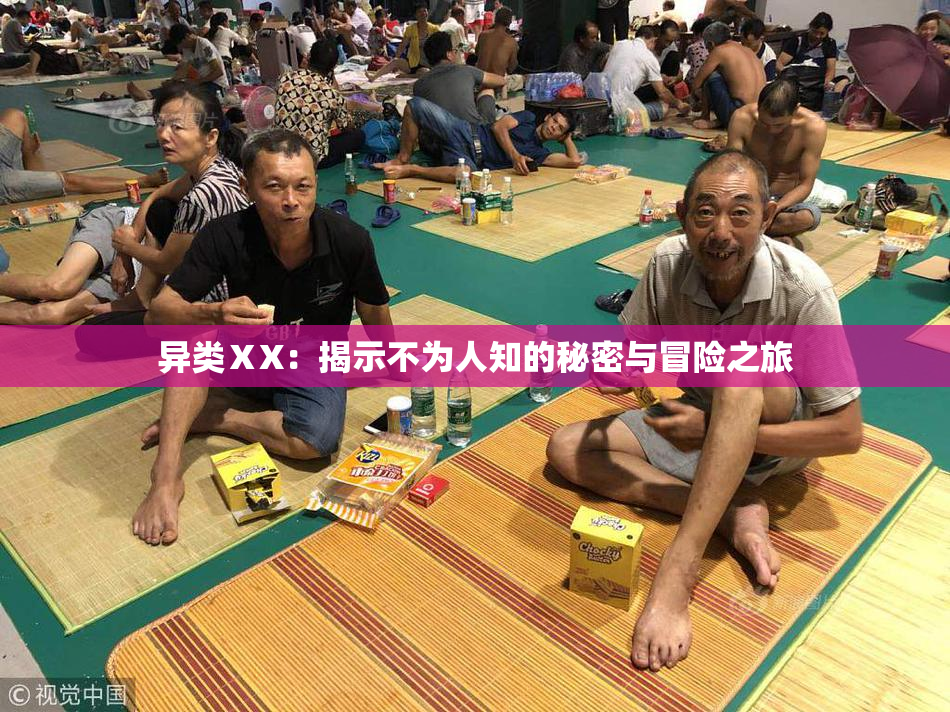 异类ⅩX：揭示不为人知的秘密与冒险之旅
