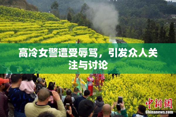 高冷女警遭受辱骂，引发众人关注与讨论