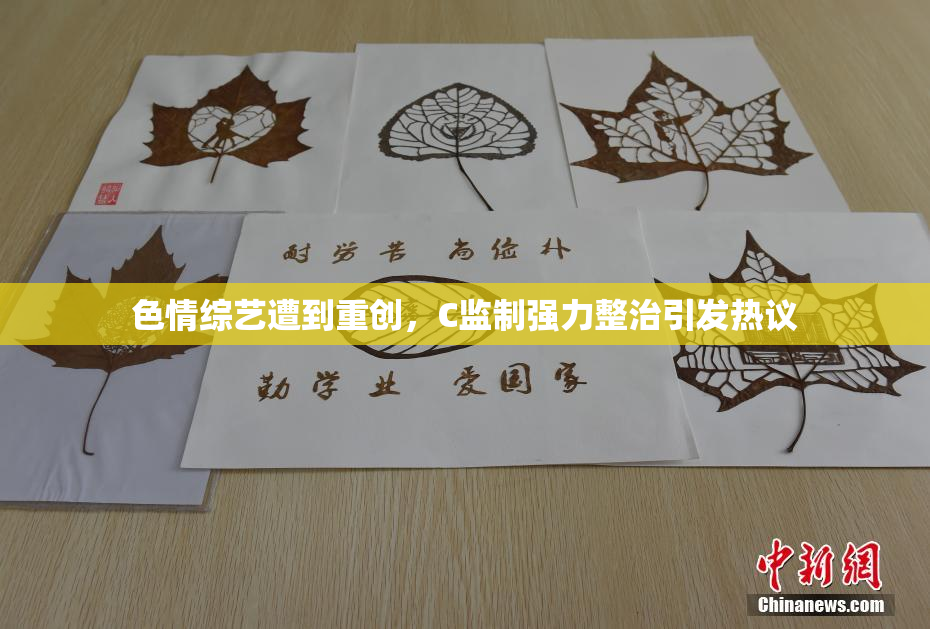 色情综艺遭到重创，C监制强力整治引发热议