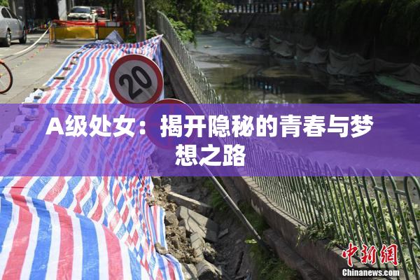 A级处女：揭开隐秘的青春与梦想之路