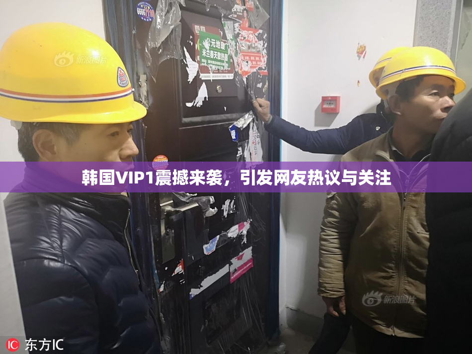 韩国VIP1震撼来袭，引发网友热议与关注
