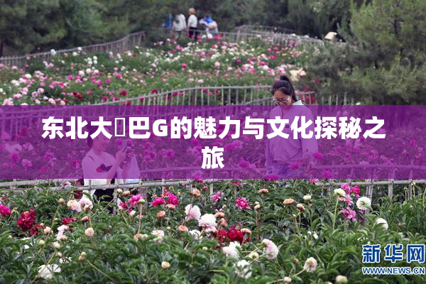 东北大鷄巴G的魅力与文化探秘之旅