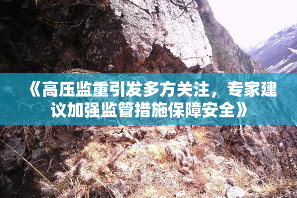 《高压监重引发多方关注，专家建议加强监管措施保障安全》