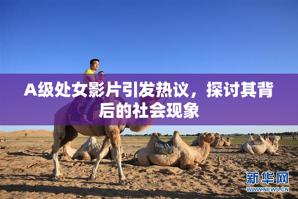 A级处女影片引发热议，探讨其背后的社会现象
