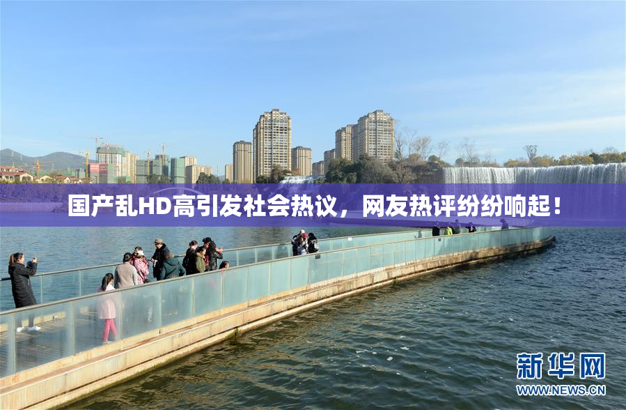 国产乱HD高引发社会热议，网友热评纷纷响起！