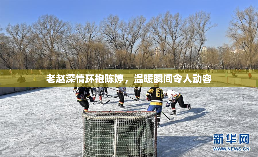 老赵深情环抱陈婷，温暖瞬间令人动容