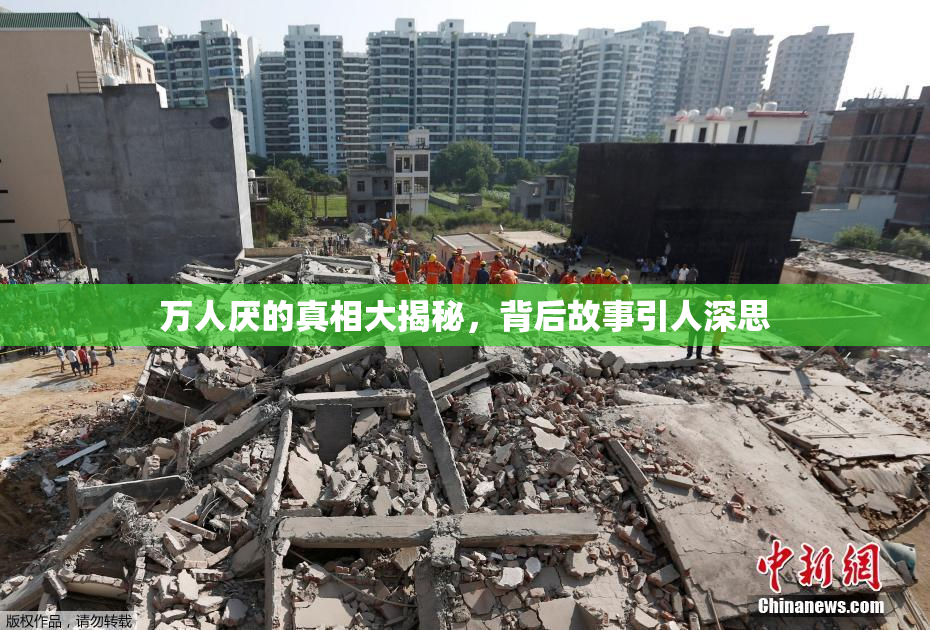 万人厌的真相大揭秘，背后故事引人深思