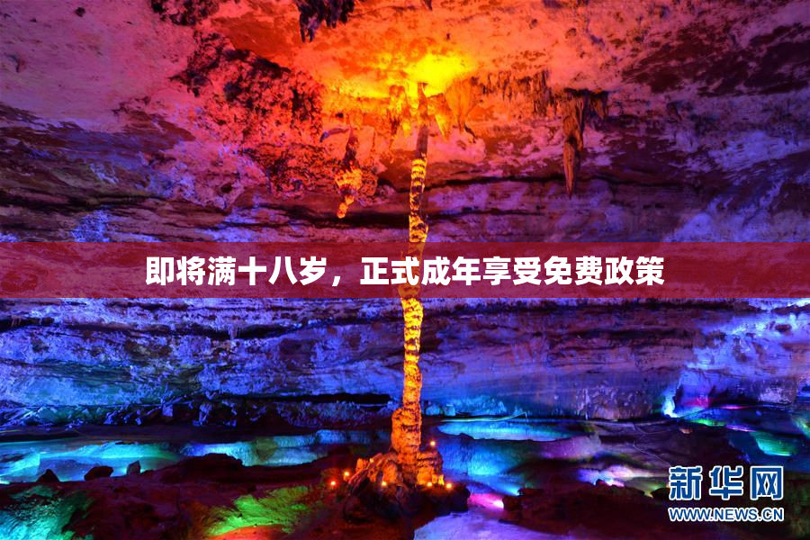 即将满十八岁，正式成年享受免费政策