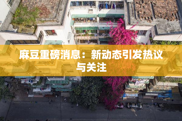麻豆重磅消息：新动态引发热议与关注