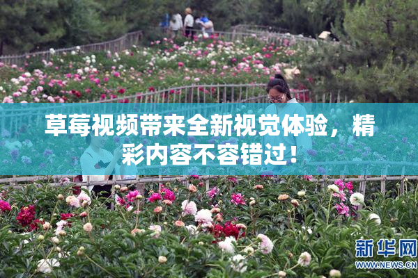 草莓视频带来全新视觉体验，精彩内容不容错过！