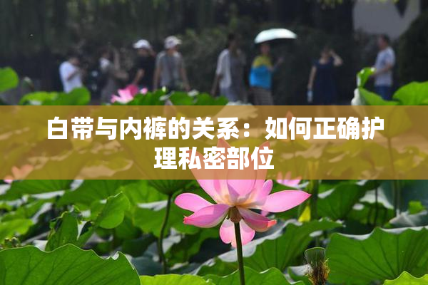 白带与内裤的关系：如何正确护理私密部位