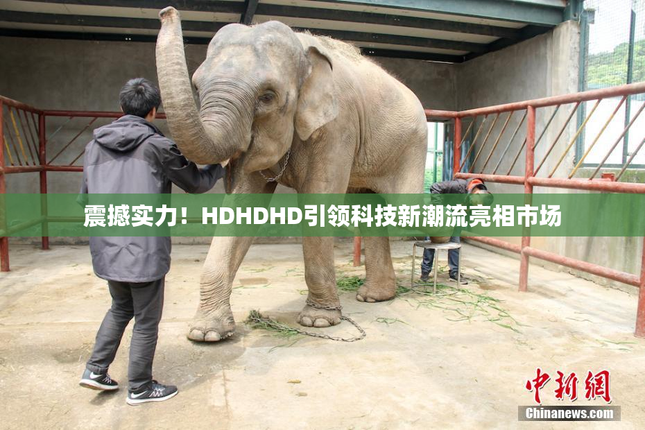 震撼实力！HDHDHD引领科技新潮流亮相市场